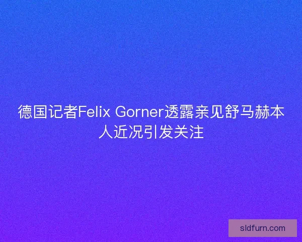 德国记者Felix Gorner透露亲见舒马赫本人近况引发关注 德国记者Felix Gorner透露亲见舒马赫本人近况引发关注