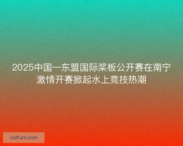 2025中国—东盟国际桨板公开赛在南宁激情开赛掀起水上竞技热潮