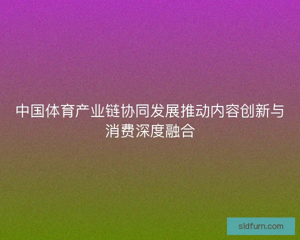 中国体育产业链协同发展推动内容创新与消费深度融合 中国体育产业链协同发展推动内容创新与消费深度融合